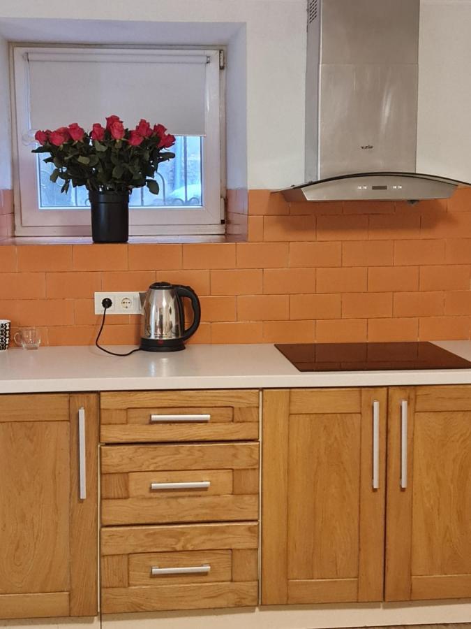 Студіо На Кoновальця Apartment ลวีฟ ภายนอก รูปภาพ